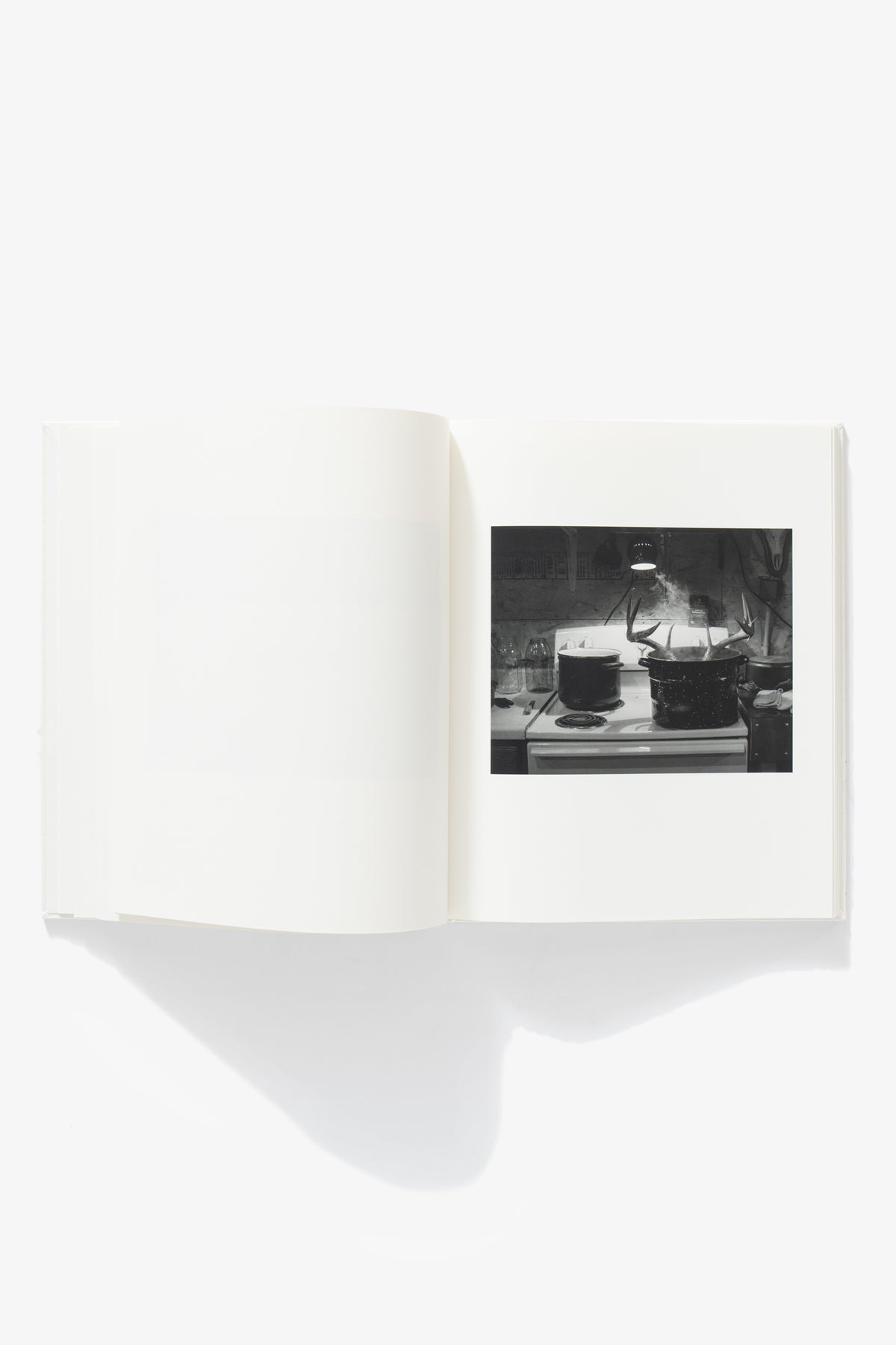 ERINN SPRINGER - DORMANT SEASON