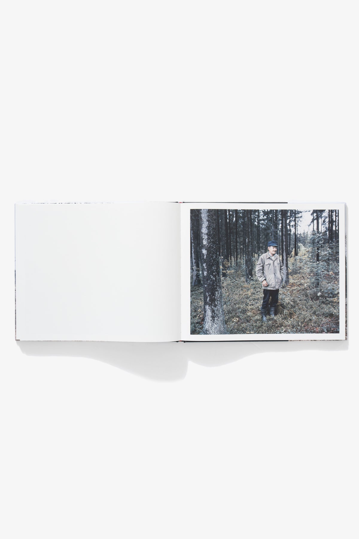 Jasper Bastian - Gandras