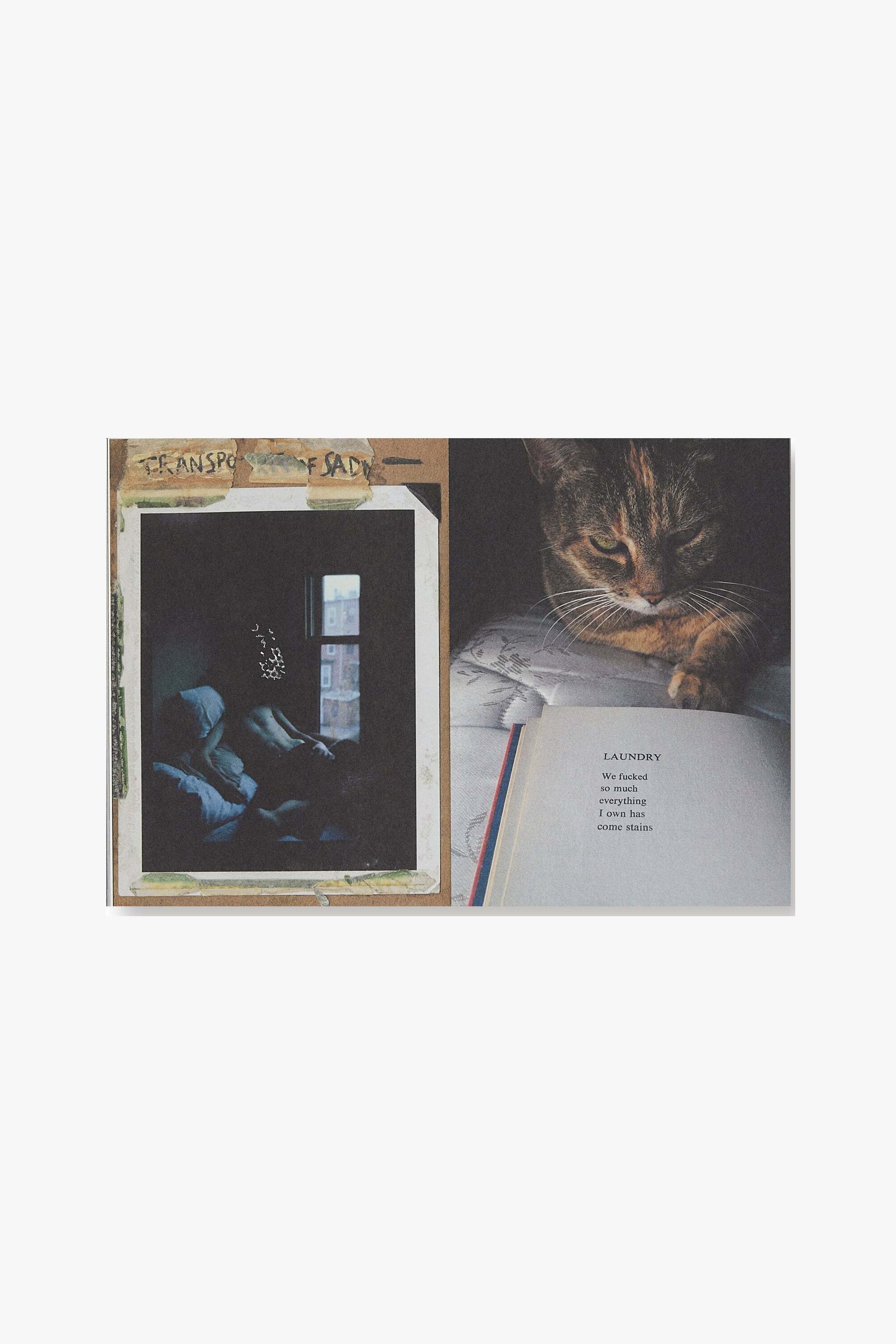 Full spread of "Candyland." Verso is a photograph pasted onto a piece of beige paper, with a body of a male figure sat in the corner of a bed. His face obscrubed. Recto is a cat sitting on a bed, its paw almost touching the opened page of a poem titled "LAUNDRY." The text reads: "We fucked / to touch / everything / I own has / come stains"