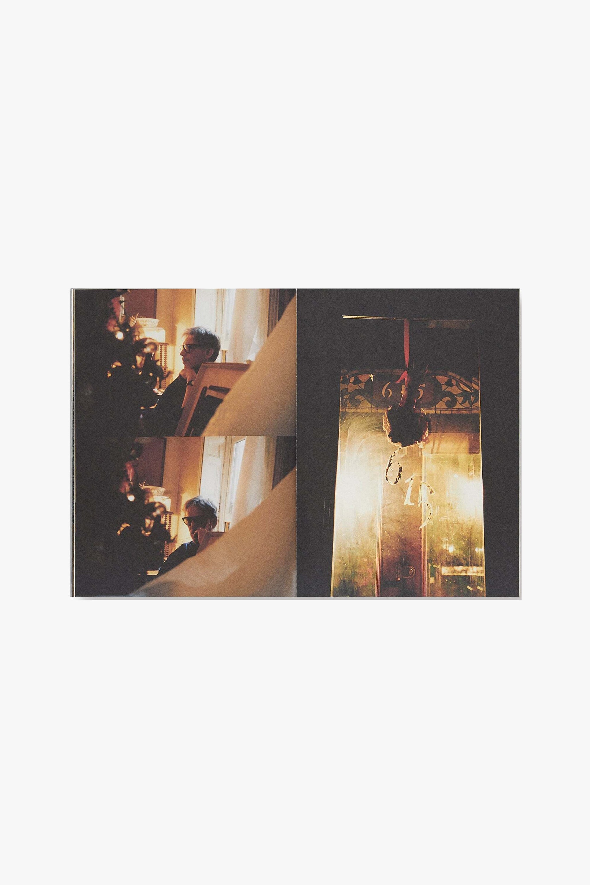 Full spread of "Candyland." Verso is two photographs stacked, each takes up half of the top portion of the page. A male figue in two different contemplative poses. Recto is an abstract photo of what appears to be a rooted plant hung above a door.