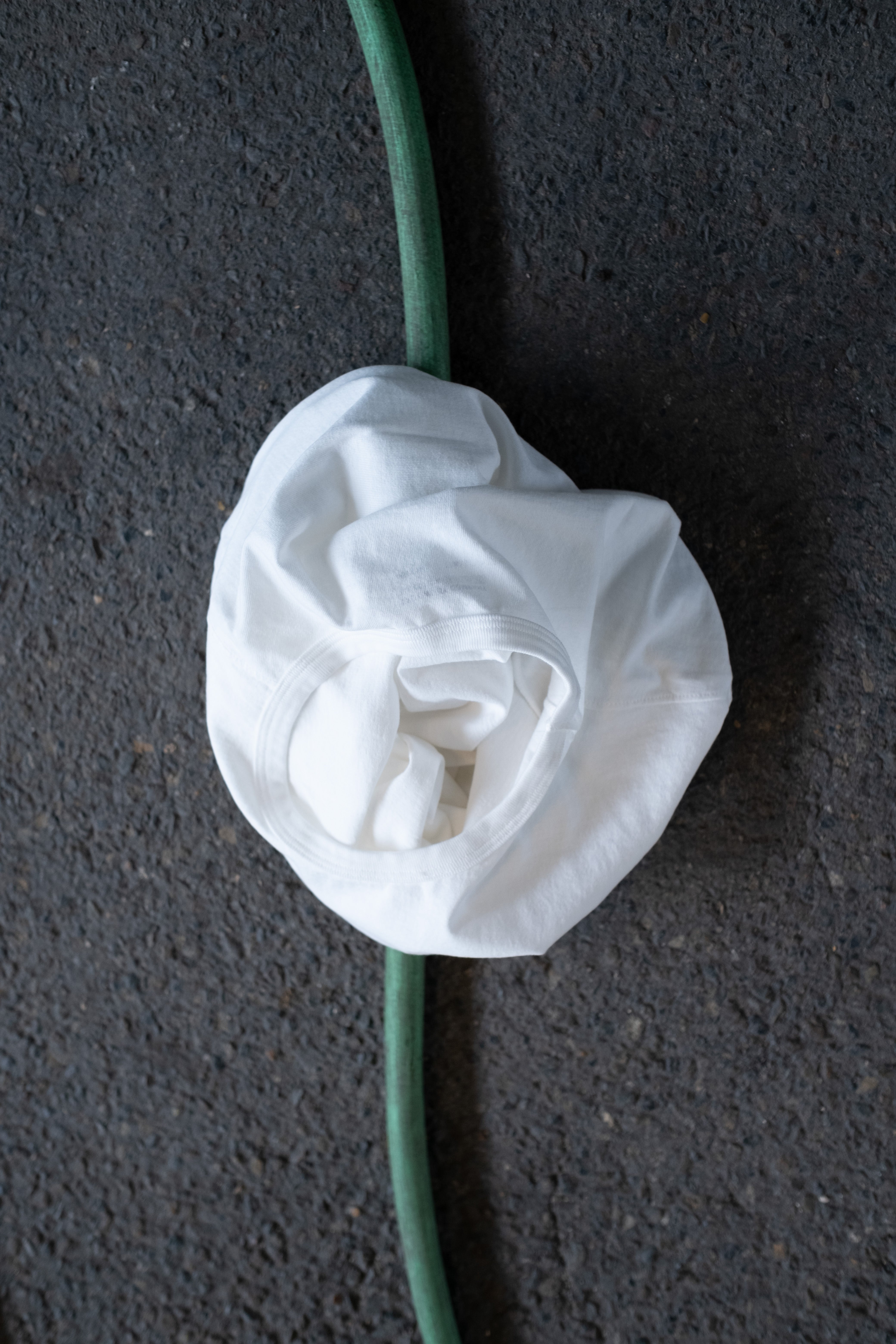 トップス LEWIN / WHITE gadidanoniem White Lanvin Embroidered Cotton Hoodie | Lanvin