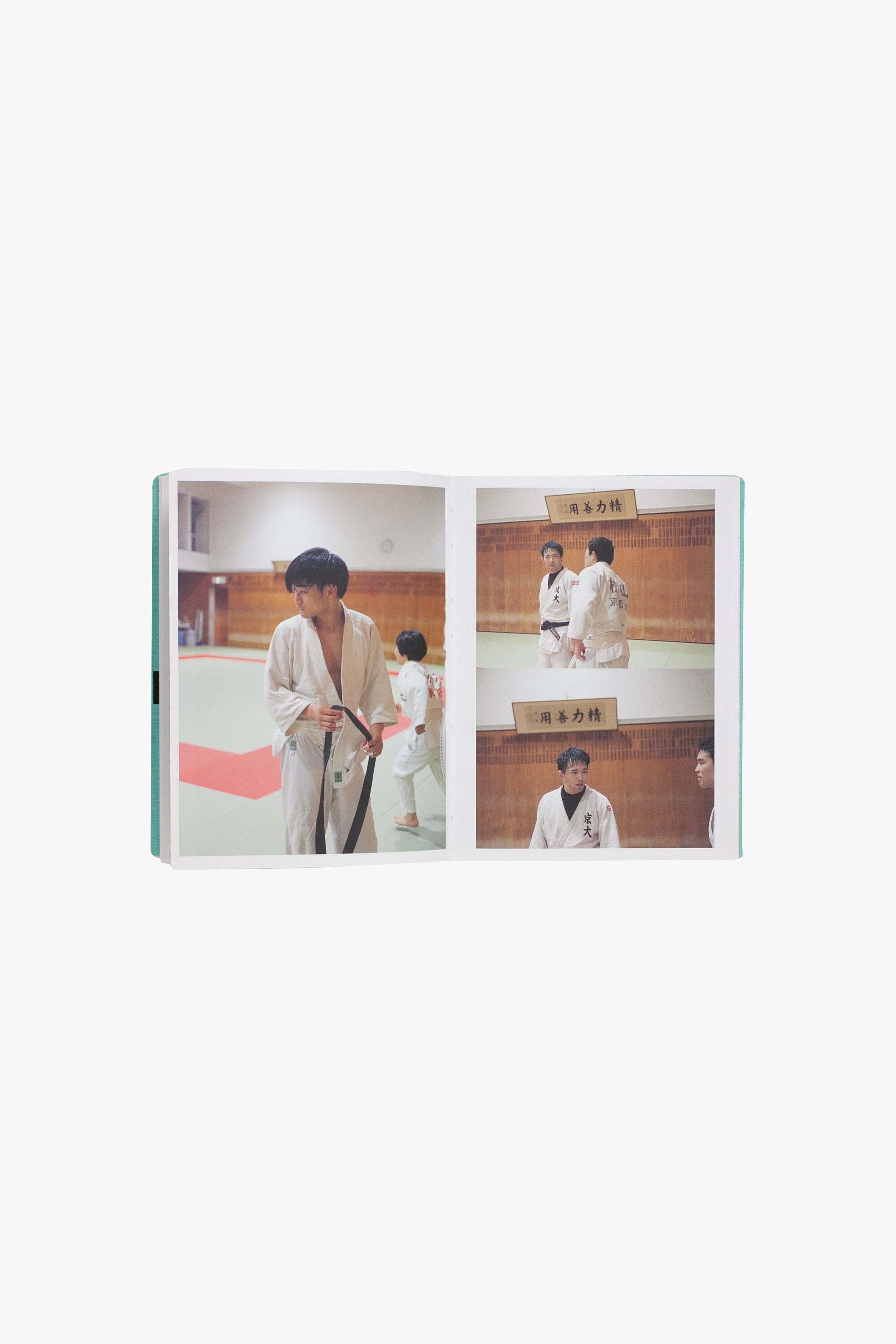 Ari Marcopoulos - Sumo Judo