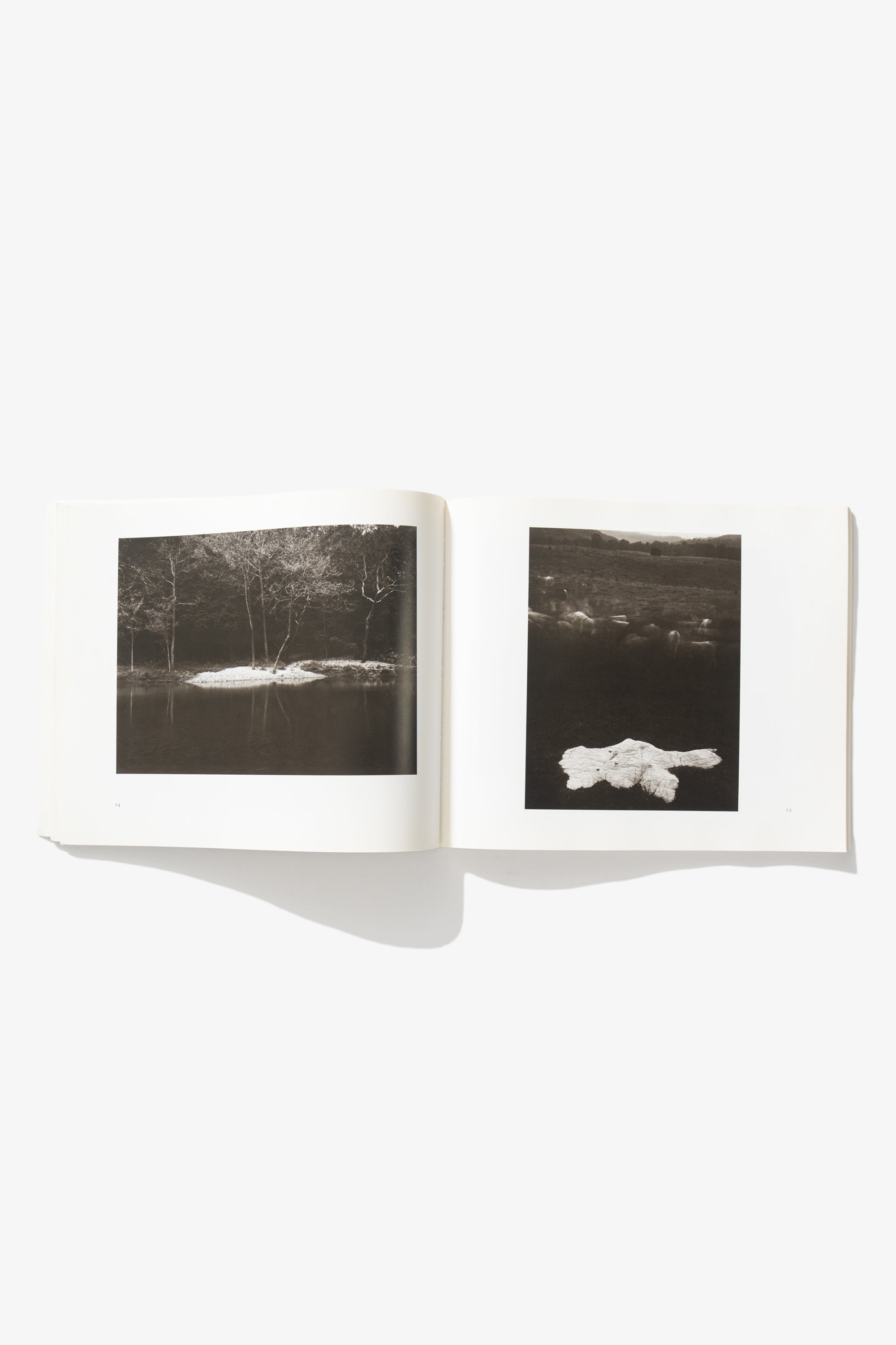 Sally Mann - Still Time