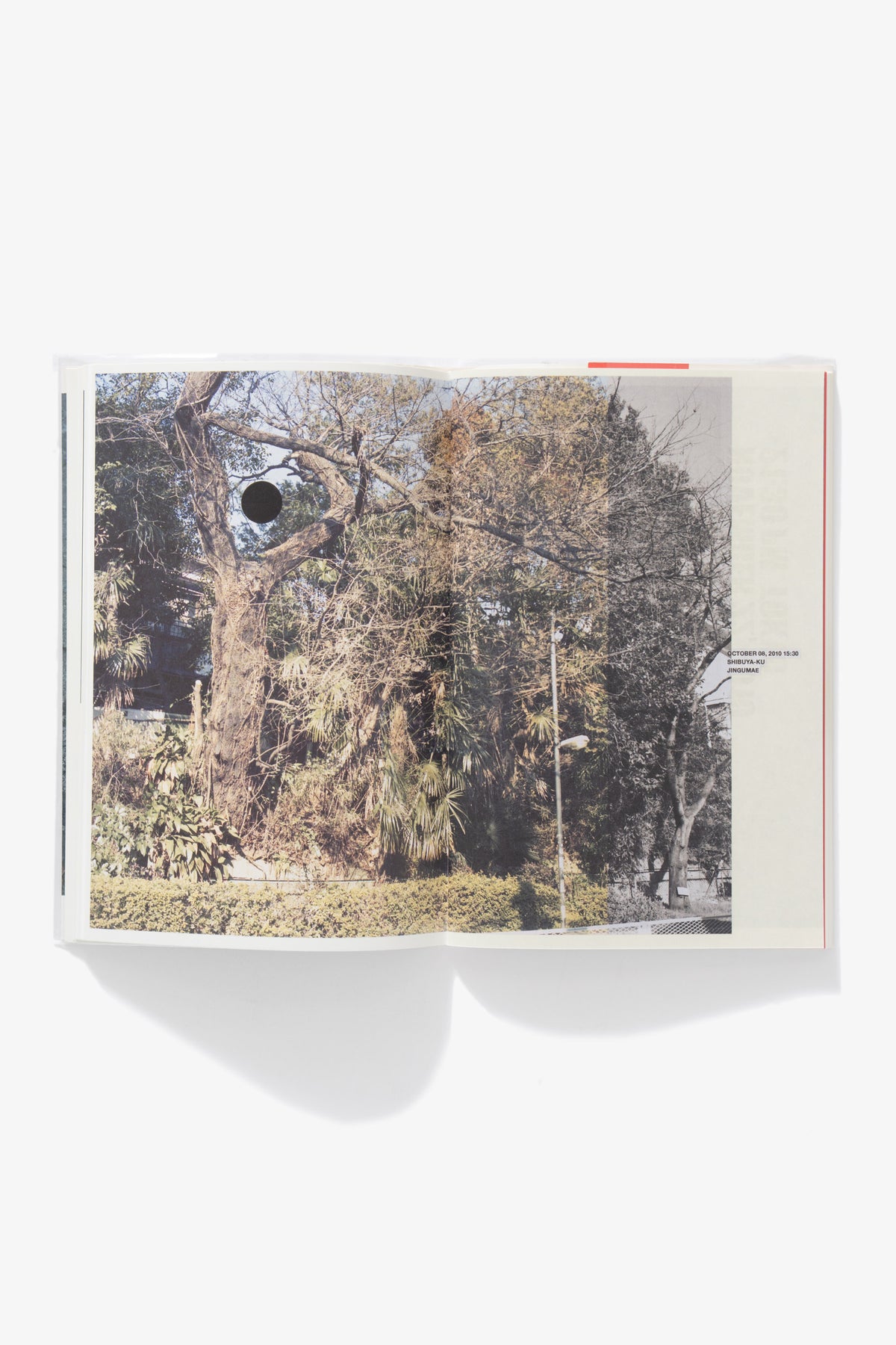 TAKASHI HOMMA - DIARIES