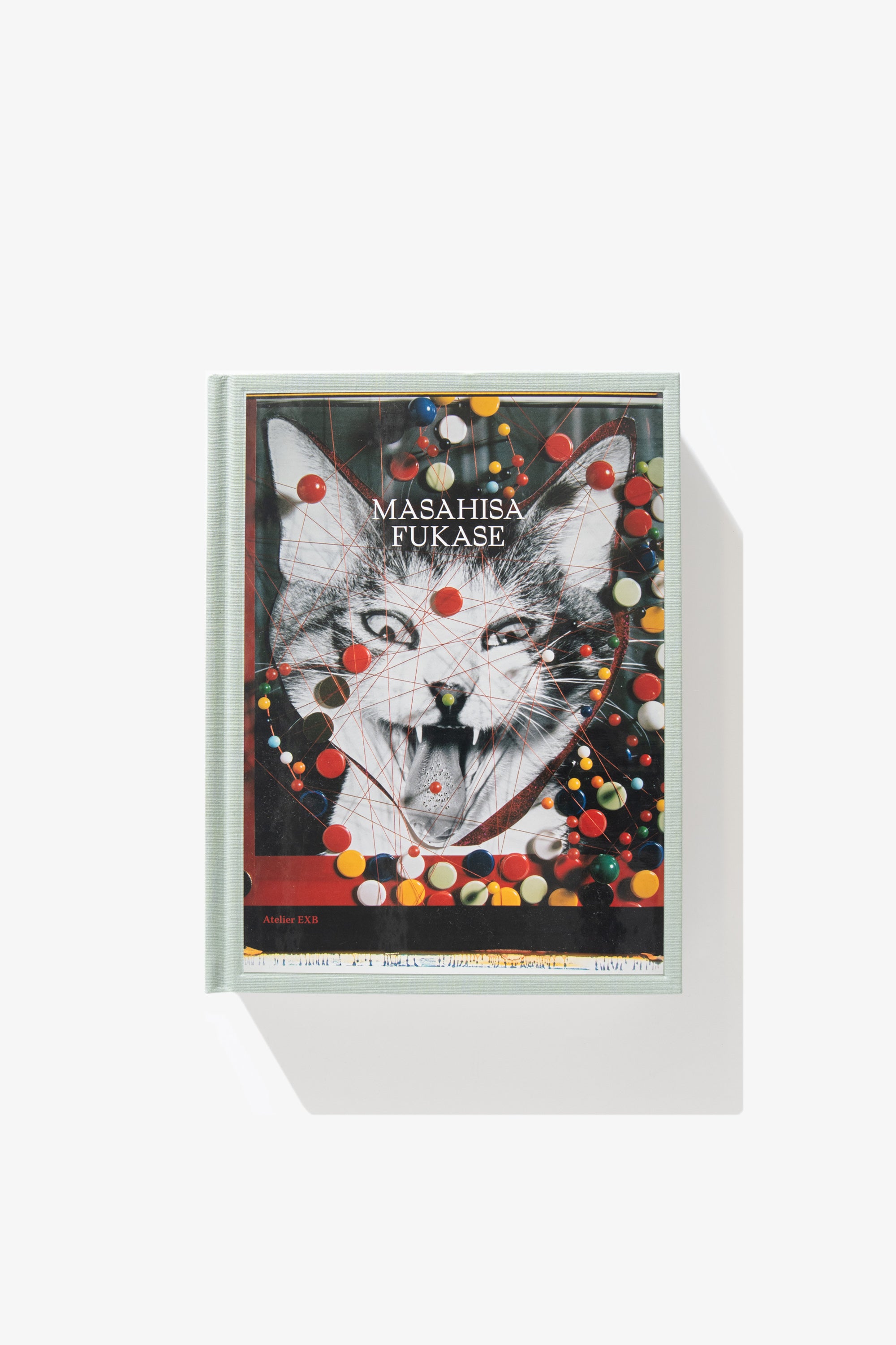 Tomo Kusuga & Simon Baker - Masahisa Fukase