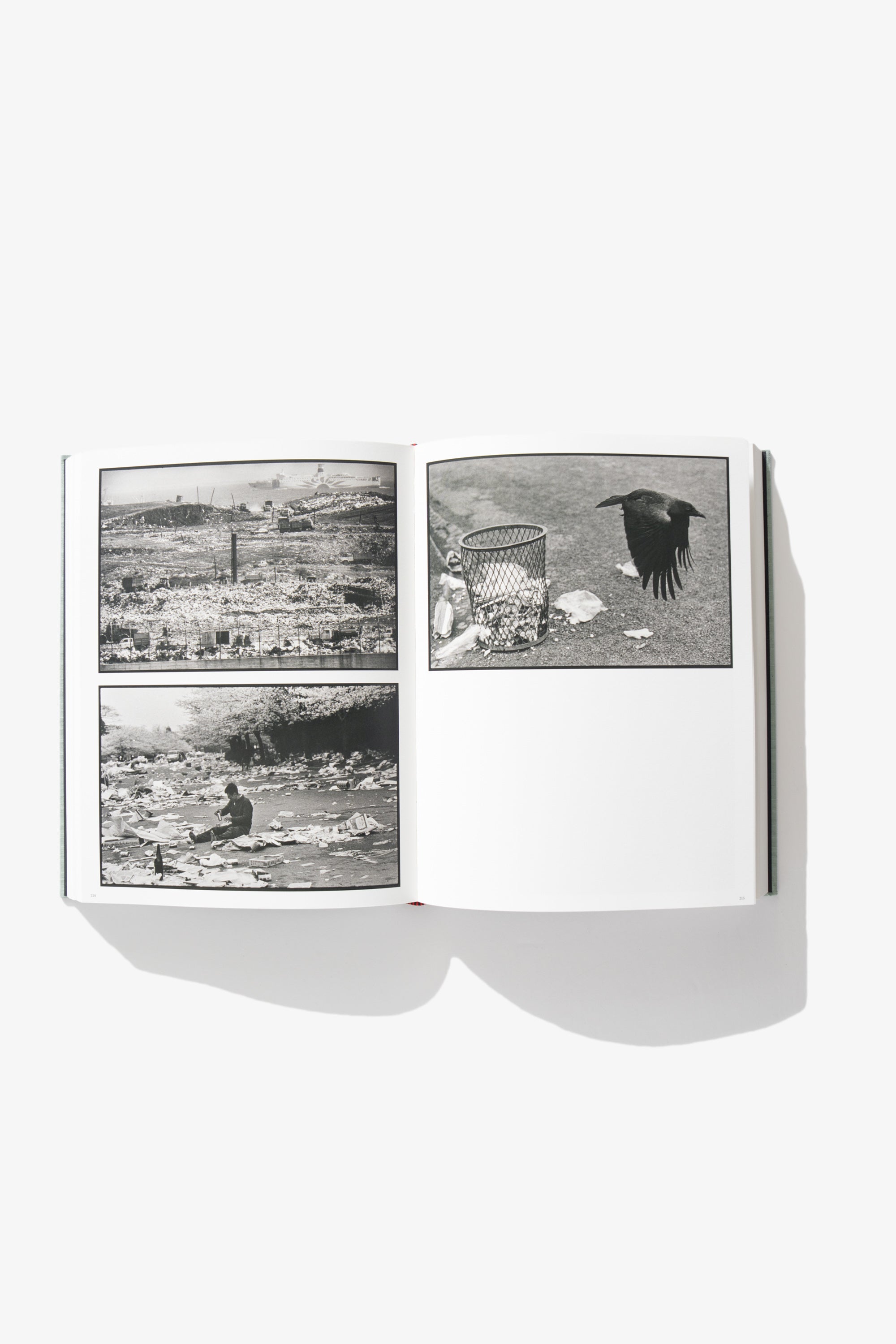 Tomo Kusuga & Simon Baker - Masahisa Fukase