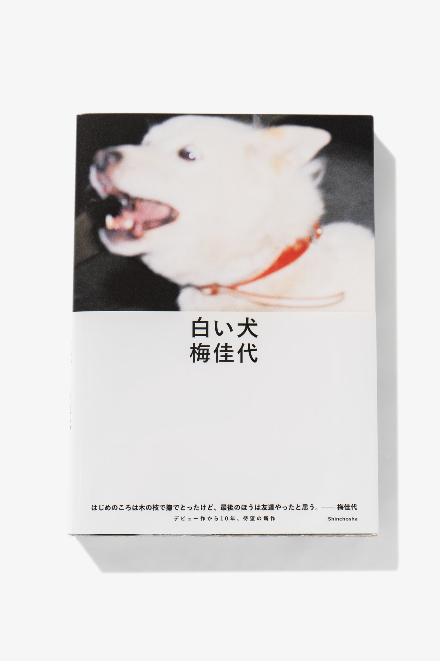 Kayo Ume - White Dog