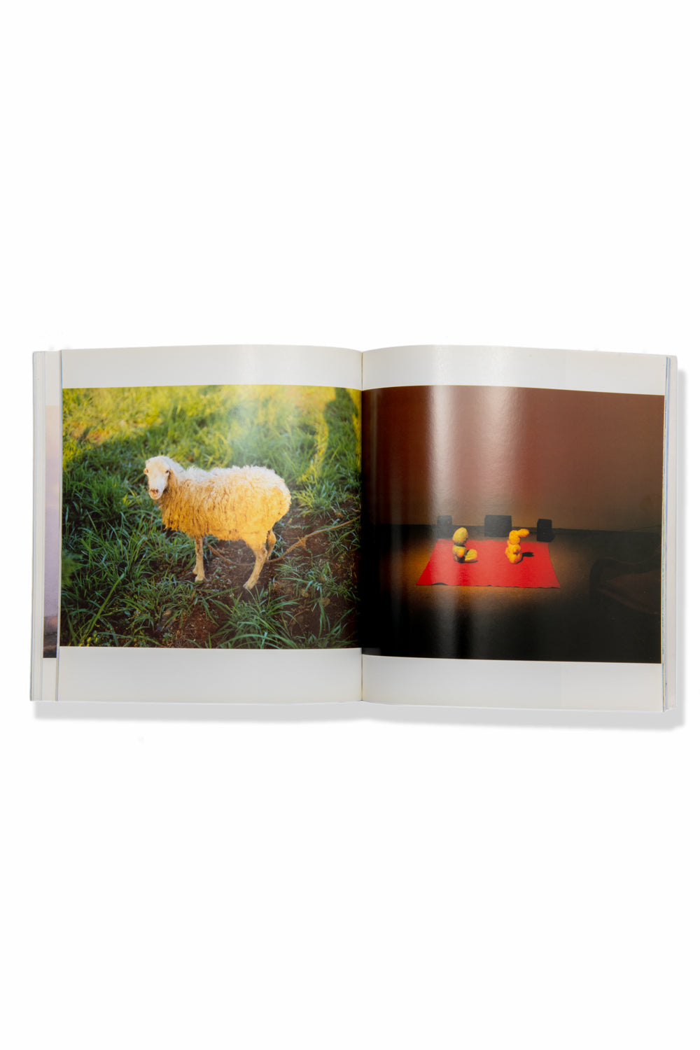 TAKASHI HOMMA - BABYLAND