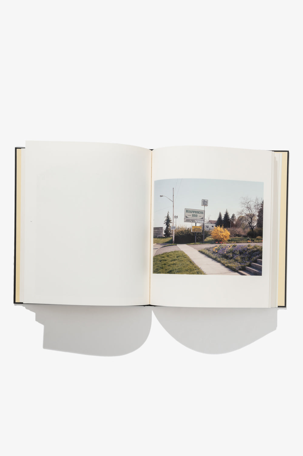 ALEC SOTH - NIAGARA (FIRST EDITION) – LADY WHITE CO.